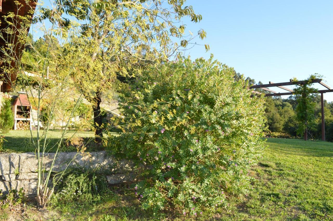 Airinos De Mondariz Villa Exteriör bild